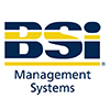 BSI英国标准协会的工作重点